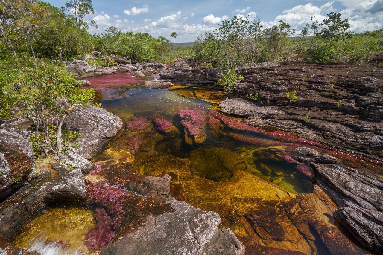 La Manigua Lodge La Macarena Luaran gambar